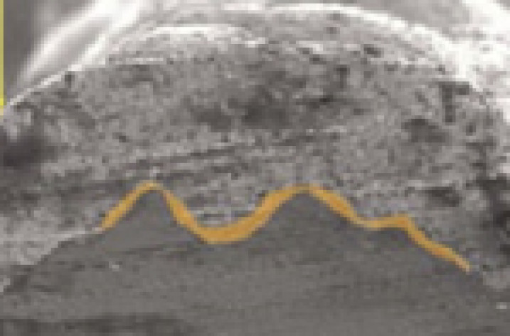 Elektroda przednia ogniw fotowoltaicznych