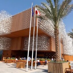 Perowskity w Polskim Pawilonie na EXPO 2020 Dubai