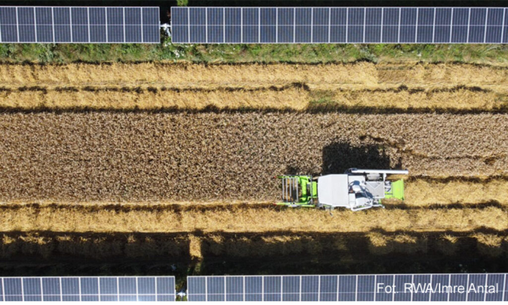 Agri-PV – nowy potencjał energetyczny dla upraw rolnych oraz sadów w Polsce