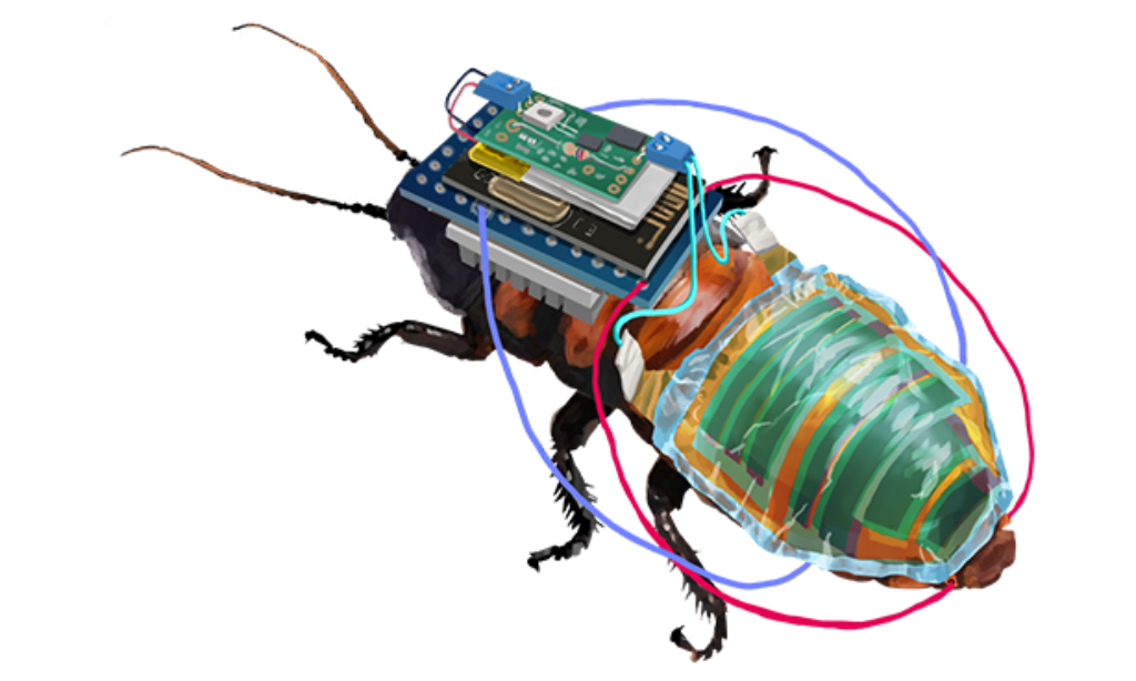 Robobug: ładowalny fotowoltaiką, zdalnie sterowany karaluch cyborg