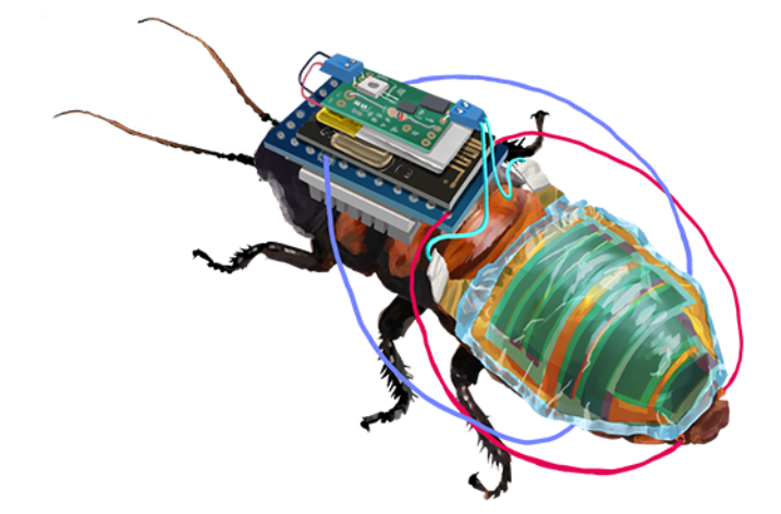 Robobug: ładowalny fotowoltaiką, zdalnie sterowany karaluch cyborg