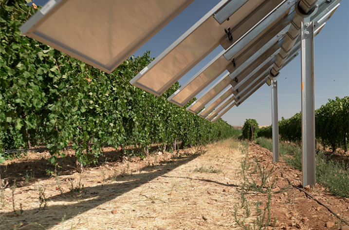 Pierwsze w Hiszpanii inteligentne instalacje agrowoltaiczne w winnicach