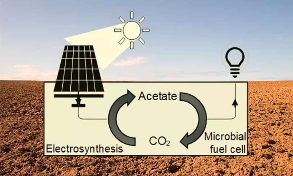 Bakterie glebowe mogą w przyszłości magazynować energię słoneczną
