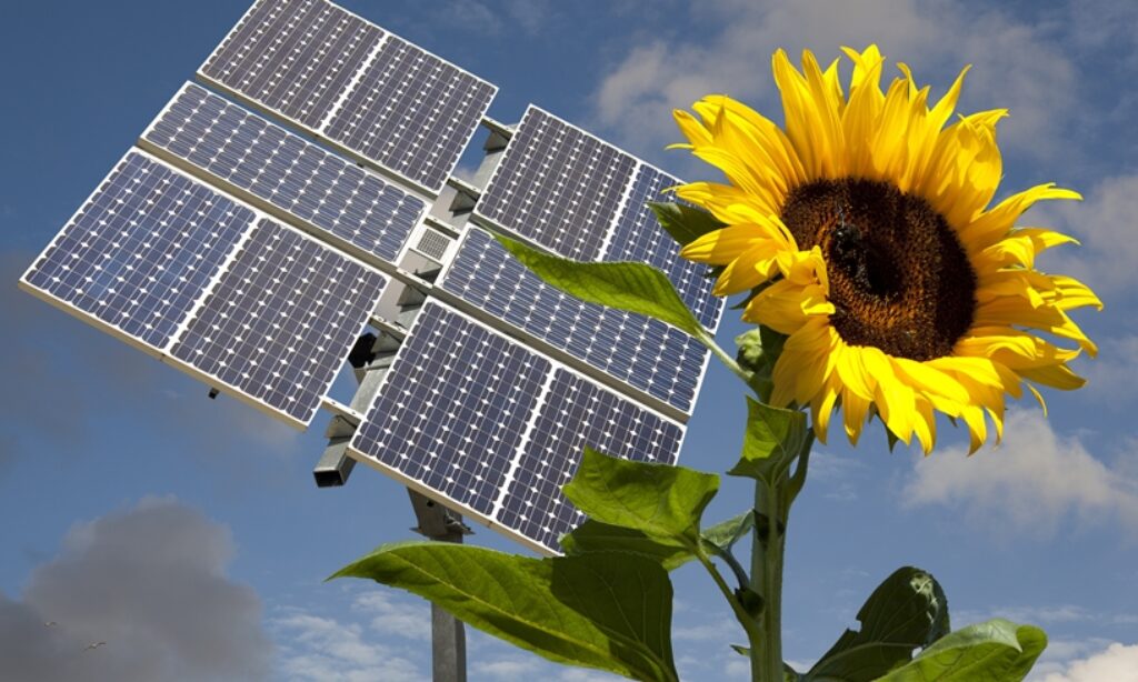 Budowanie „słonecznego społeczeństwa”