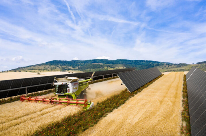 Agri-PV zasili Velux w energię odnawialną