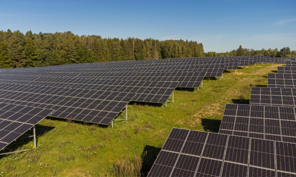 Leroy Merlin Polska korzysta z zielonej energii