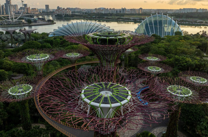 Gardens by the Bay zasilane energią słoneczną