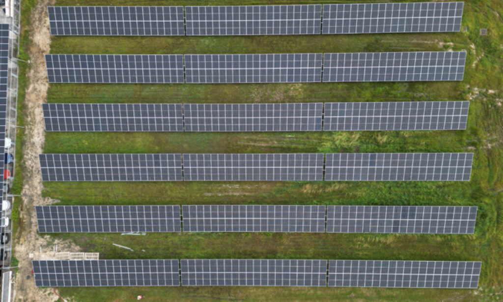 EDP wspiera dekarbonizację przemysłu spożywczego w Polsce